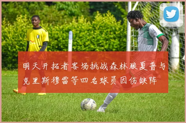 明天开拓者客场挑战森林狼夏普与克里斯穆雷等四名球员因伤缺阵