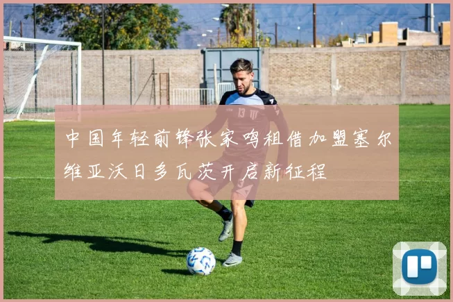 中国年轻前锋张家鸣租借加盟塞尔维亚沃日多瓦茨开启新征程