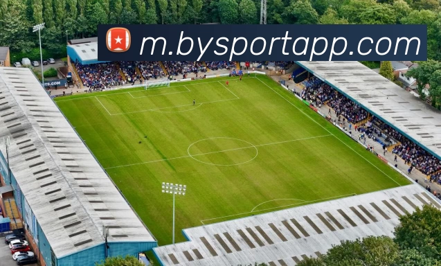 博鱼体育APP平台生态图